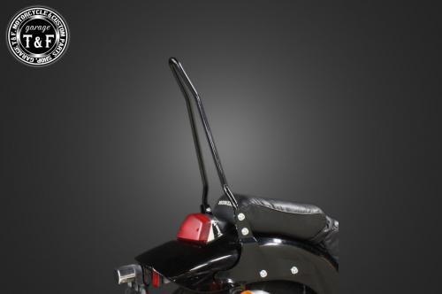 有限会社ガレージT&F / スティード400(VLX、VCL) 純正フェンダー専用