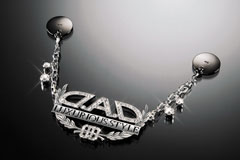 ラグジュアリー ミラーネックレス タイプ ディルス【SA998/SA999