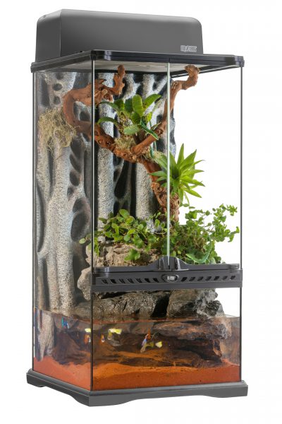 ハイタイプのグラステラリウムで爬虫類飼育やパルダリウムを楽しむ。