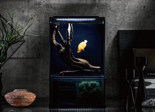 GEX aquarista『Glassterior AGS SLIDE OF-230』登場