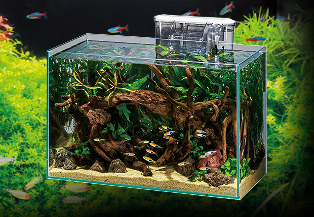 グラステリア | 高品質ガラス水槽 | ジェックス