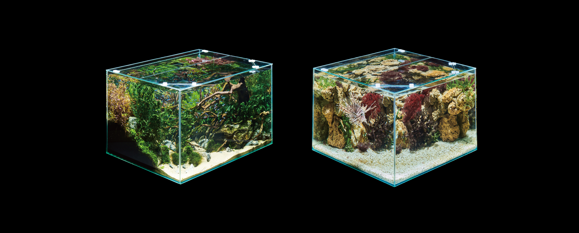 奥行45cmで広がるアクアリウムの魅力 Ga Glassterior TS シリーズ