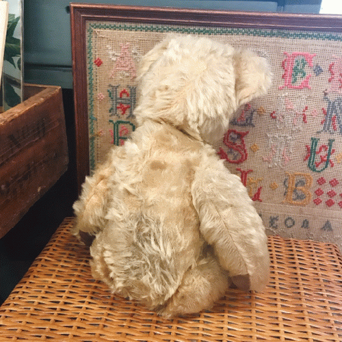 チャドバレー 1940〜50's 大きなグラスアイのテディベア｜「GENIO