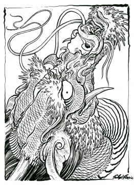 Dragons - The Collection | Japanese | Books | Books | Gentlemans