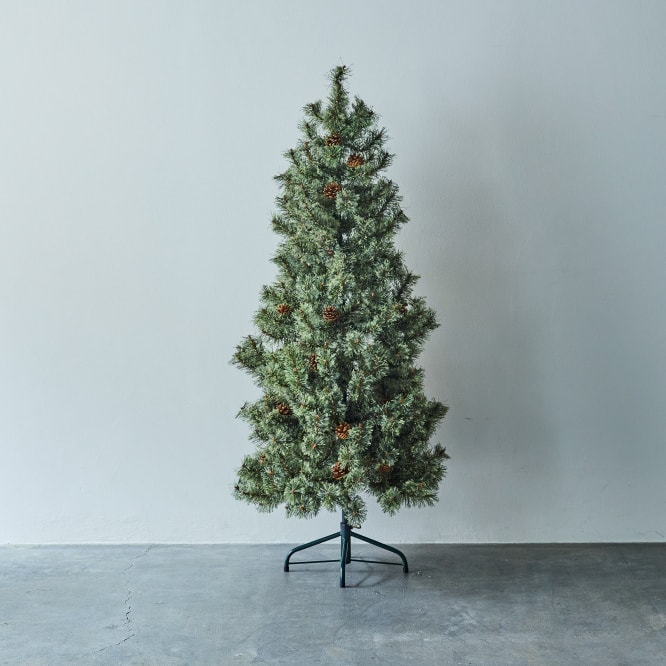 studio CLIP CHRISTMAS TREE