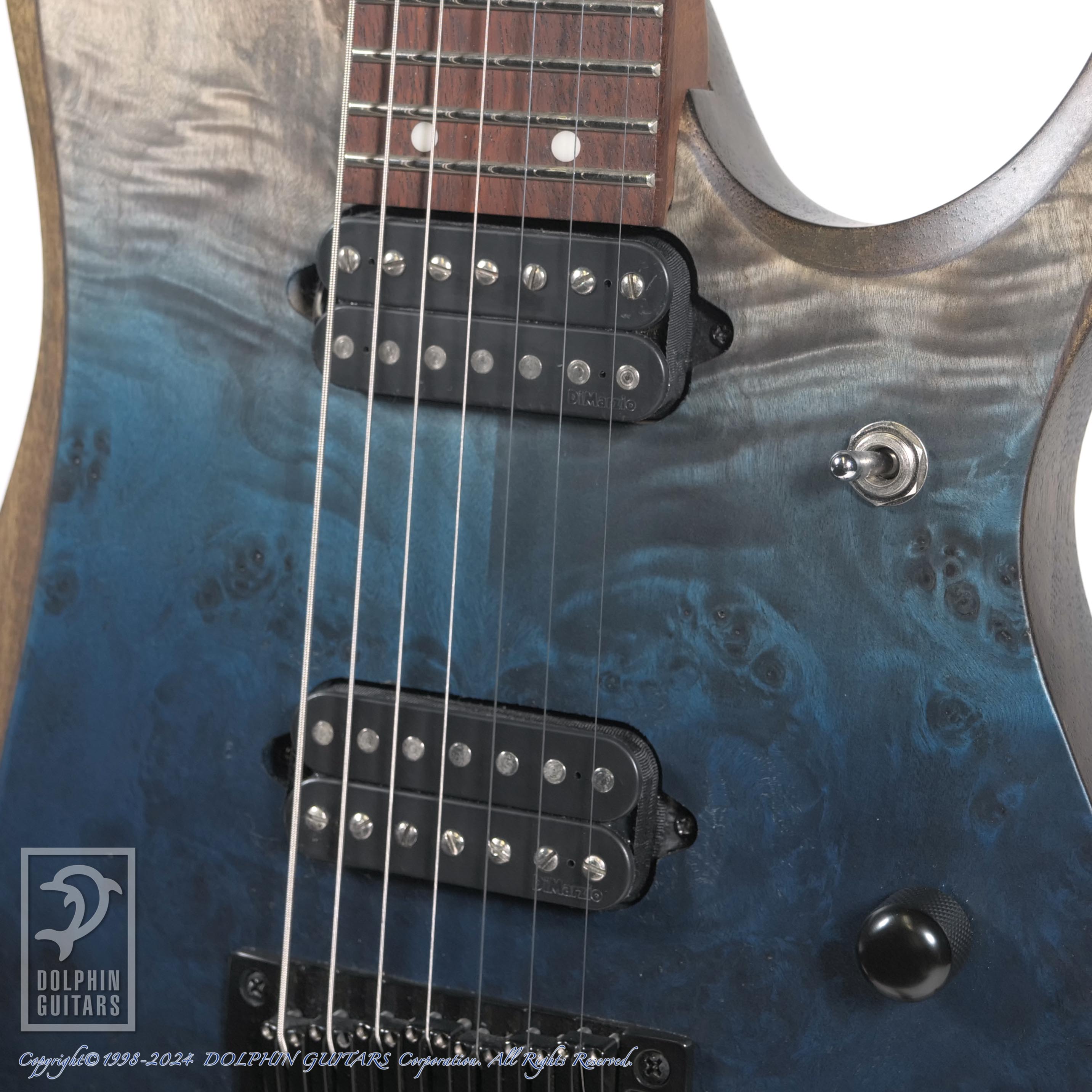 Ibanez RGD7521PB|ドルフィンギターズ