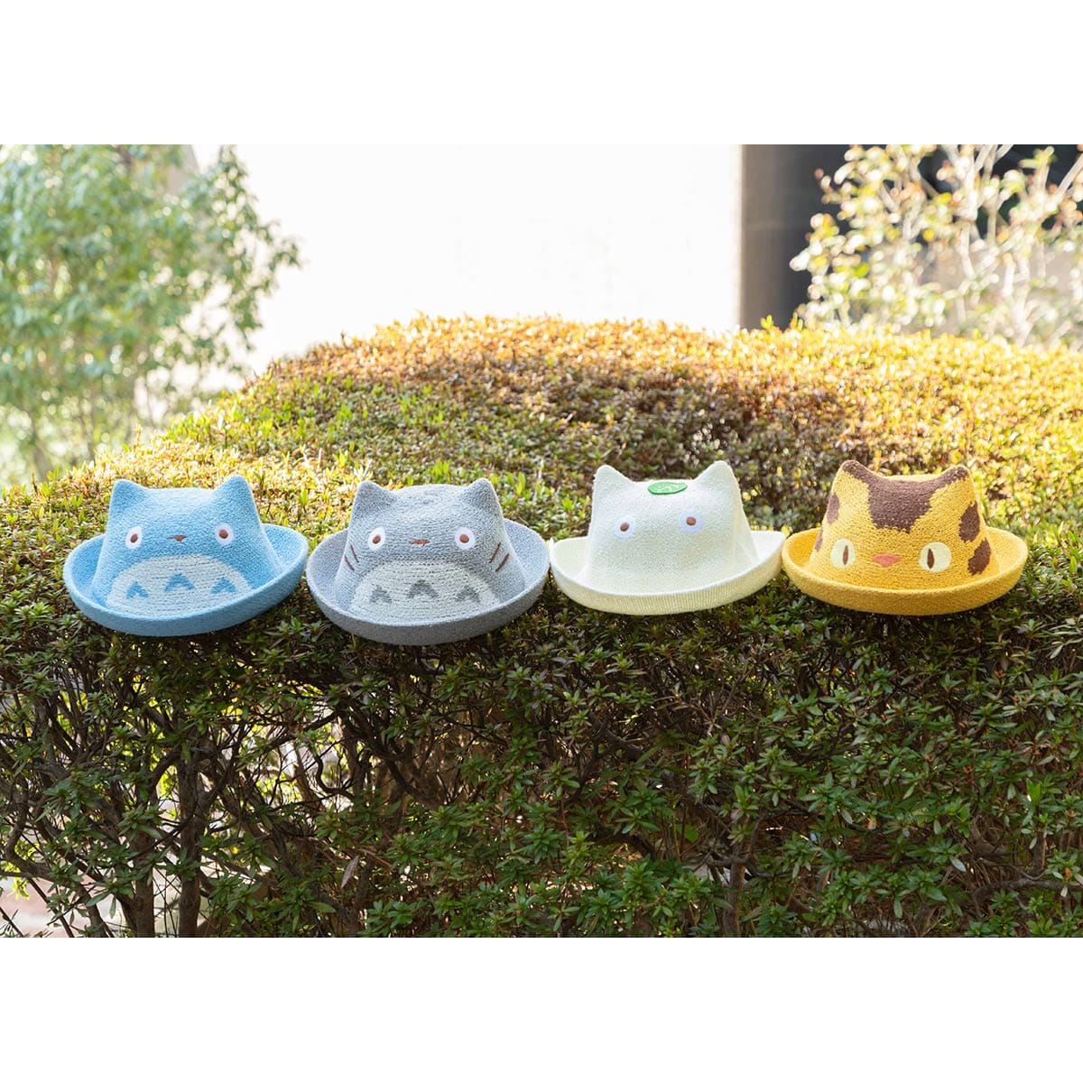 となりのトトロ ちぃぼうしシリーズ ネコバス | どんぐり共和国そらの