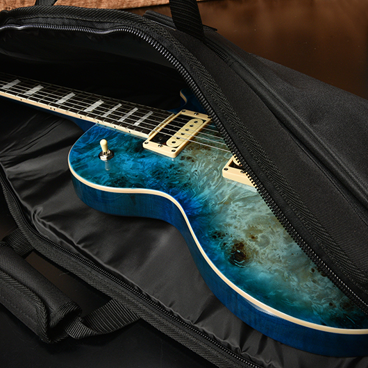 エレキギター用ギグバック【Bacchus ED-10 Guitar Case】 | Deviser