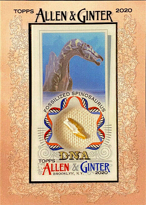 allen & ginter dna relic 化石 allosaurus allen & ginter dna relic