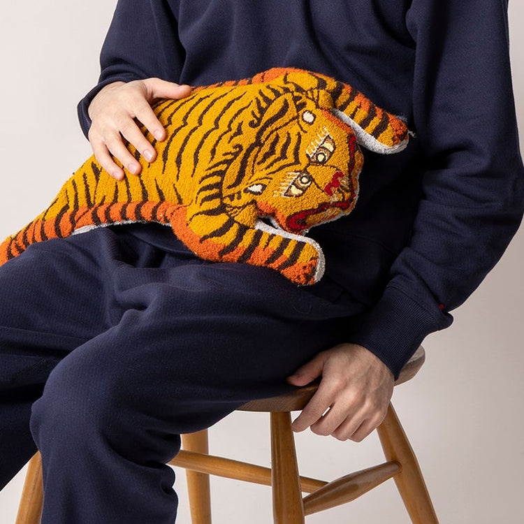 プレゼントにお困りの方に】湯たんぽにもクッションにもなる“充電式