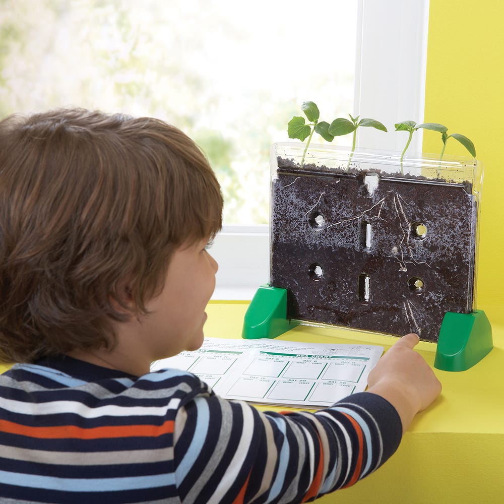 Witness Plant Science Unfold: Sprout & Grow Window Educational