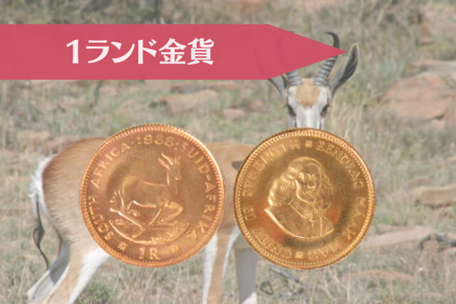 ヤン・ファン・リーベックと9つの意匠｜南ア「1966年銘 金貨銀貨セット