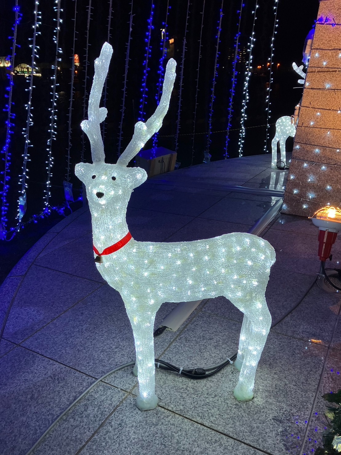 TAKさま専用 イルミネーション しか TAKさま専用 イルミネーション