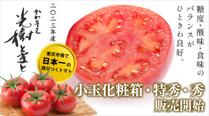 2023年産【光樹とまと】の販売開始と価格改定のお知らせです | かわ