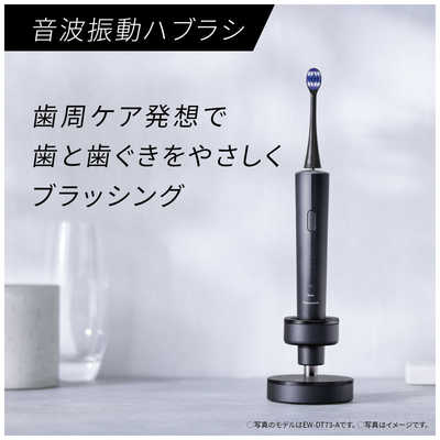 パナソニック Panasonic 電動歯ブラシ Doltz ドルツ [ 振動式 / AC100V