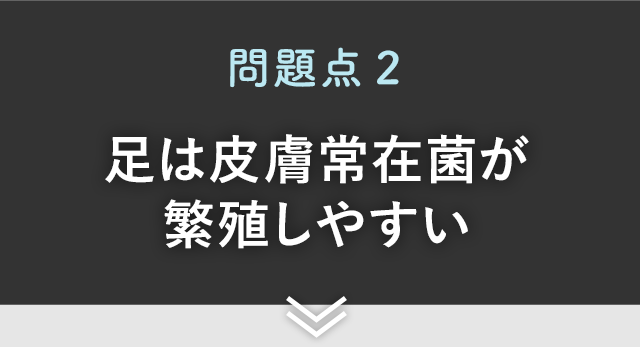 北の快適工房｜『ノーノースメル』