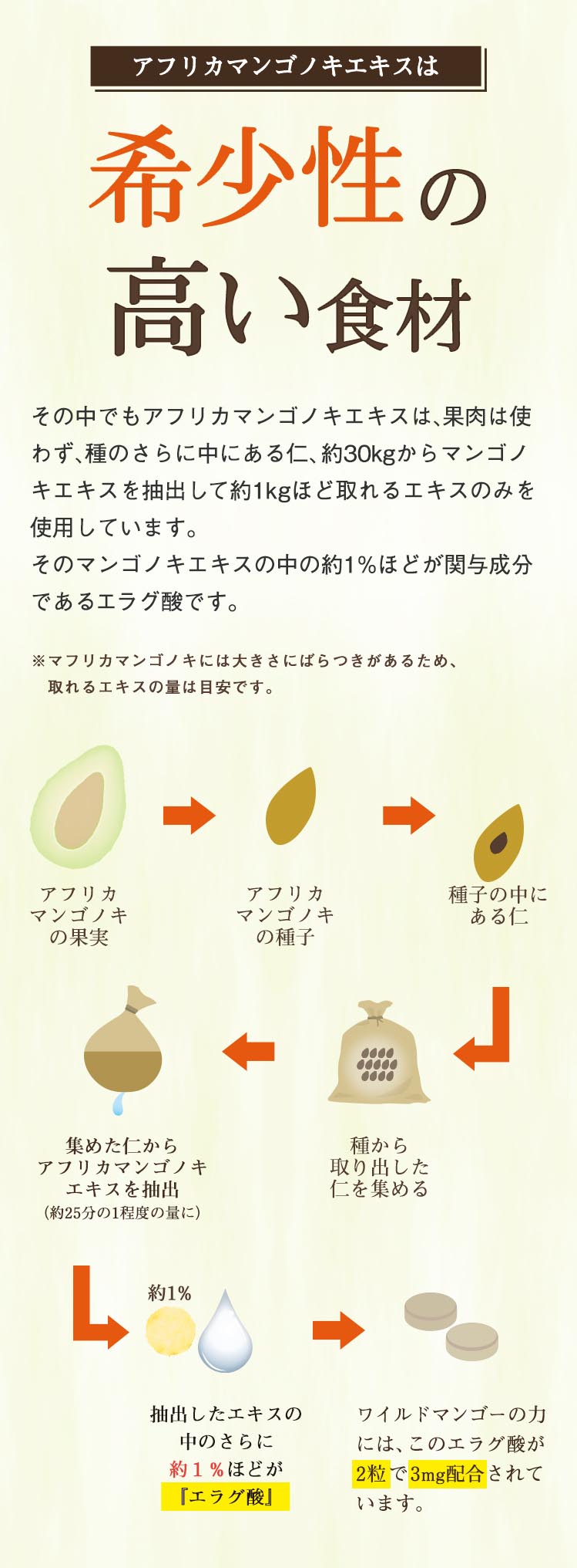 ワイルドマンゴーの力｜亀山堂