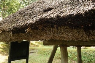 古代体験の森（上ノ山遺跡）｜観光スポット｜【公式】兵庫県香美町の
