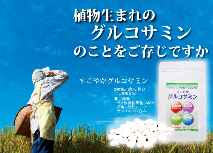 すこやかグルコサミン（240粒）3袋 ｜ 金秀バイオ通販ショップ