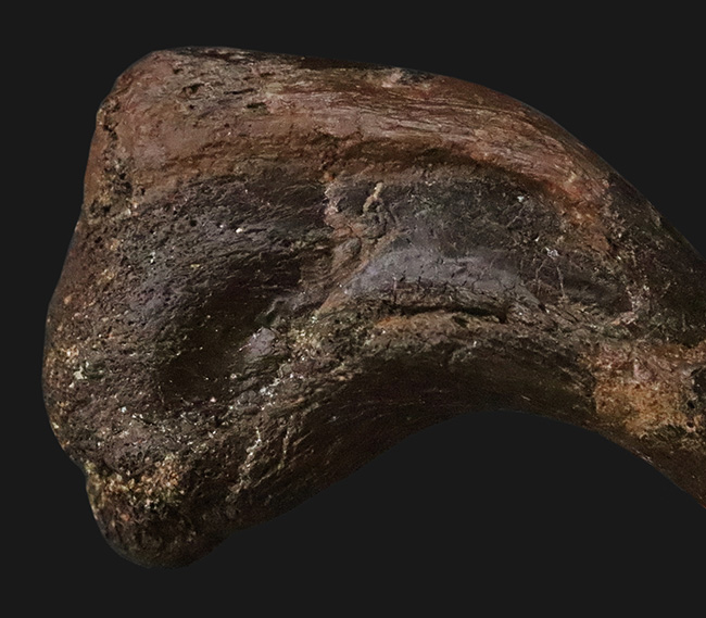 社史に残る1本！歴代トップクラス、いや、トップといって良い。極めて