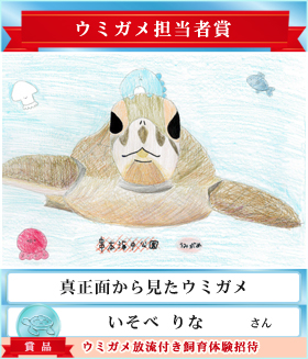 ウミガメおえかきコンテスト2024 | ウミガメおえかきコンテスト2024
