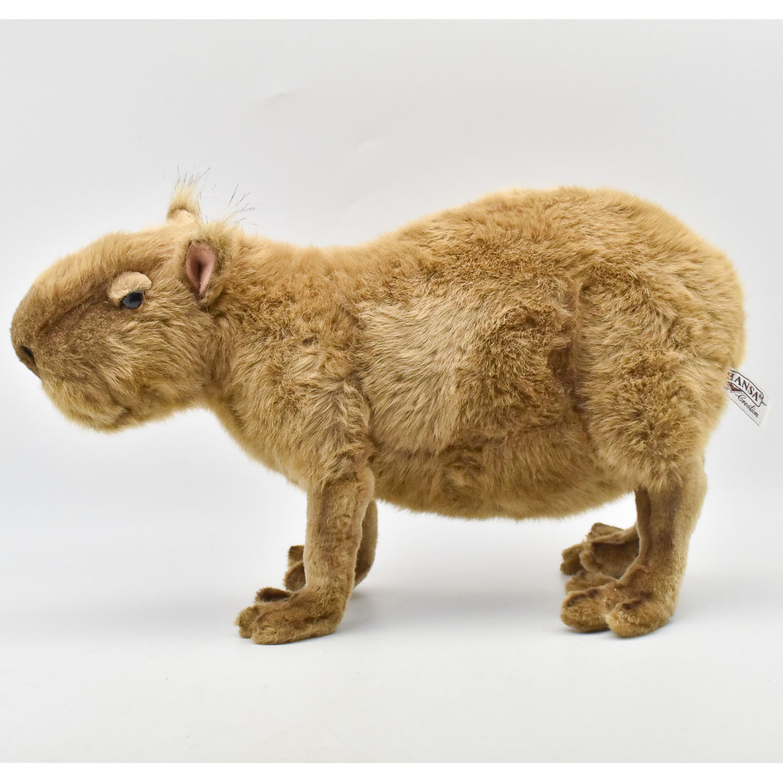 カピバラ 42 | HANSA