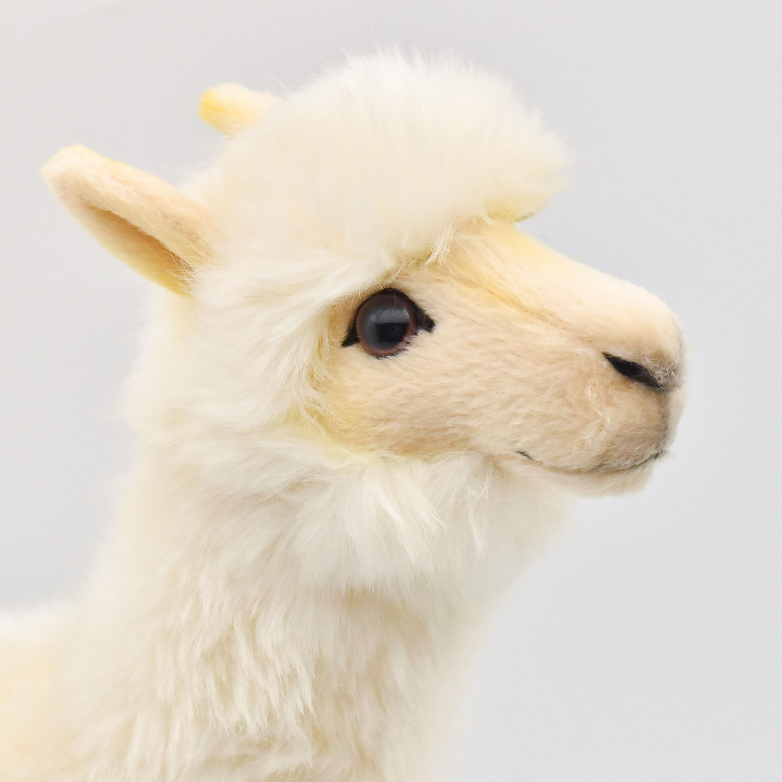 アルパカ 34 | HANSA