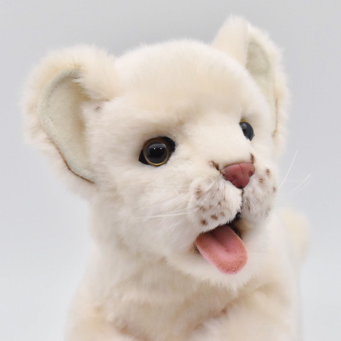 ホワイトライオン(仔) 42 | HANSA