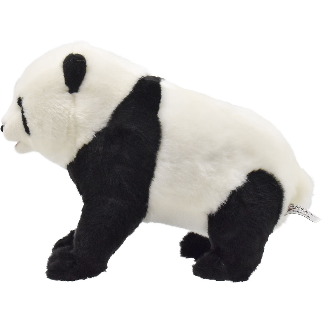 ジャイアントパンダ(Taipei Zoo) 33 | HANSA