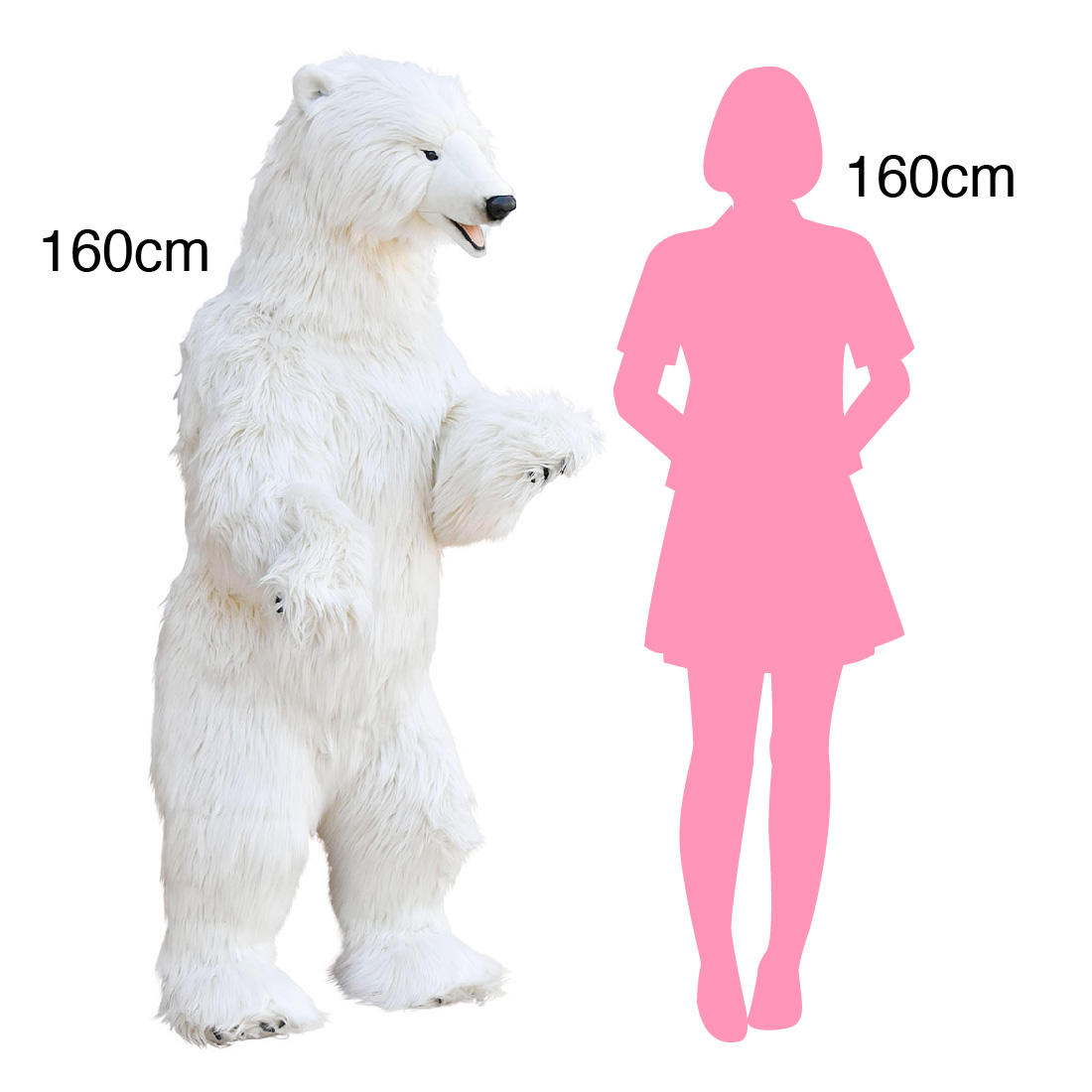 ホッキョクグマ 146 | HANSA