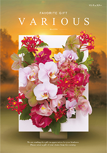 カタログギフトのハーモニック ヴァリアス マンチェスター