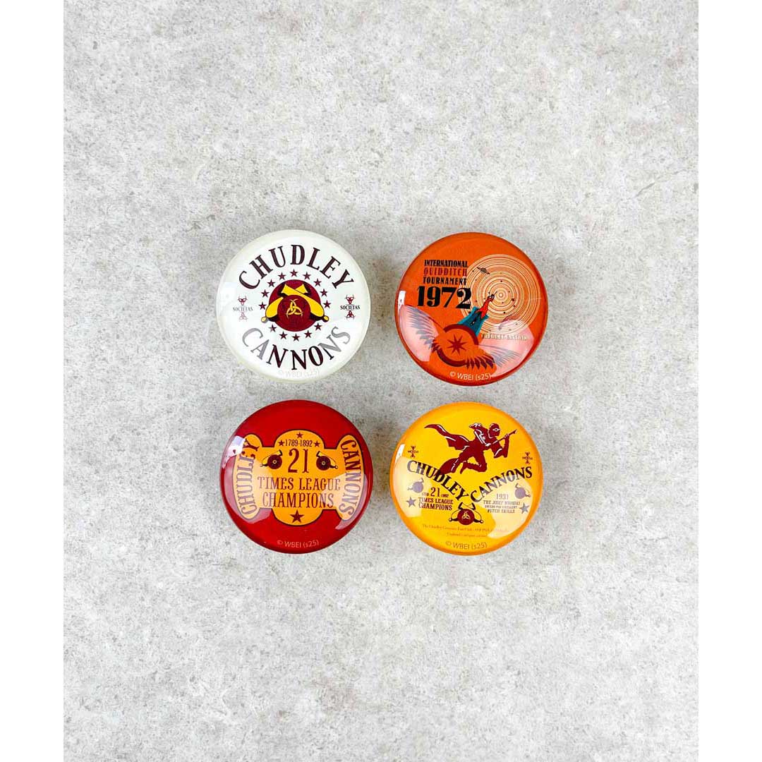 Harry Potter×Flapper フィルムアートガラスチャーム スネイプ先生1