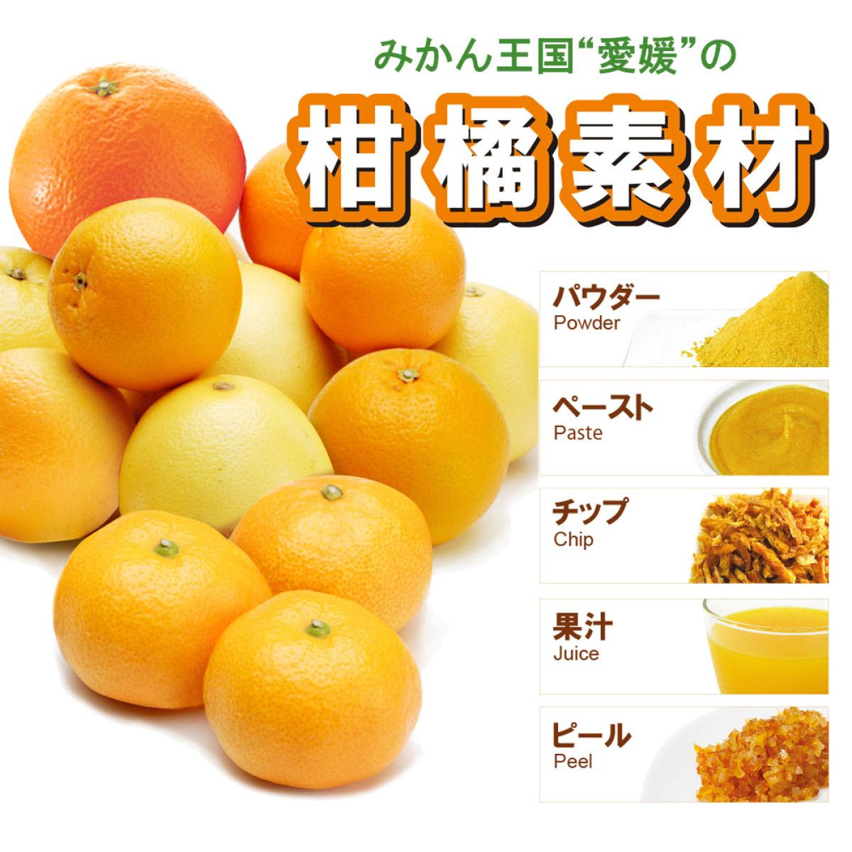 みかんペースト[ヘルシー四国]