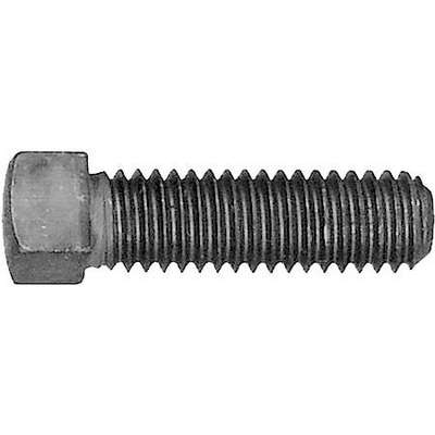 17516 Square Head, Set Screw; 5/16