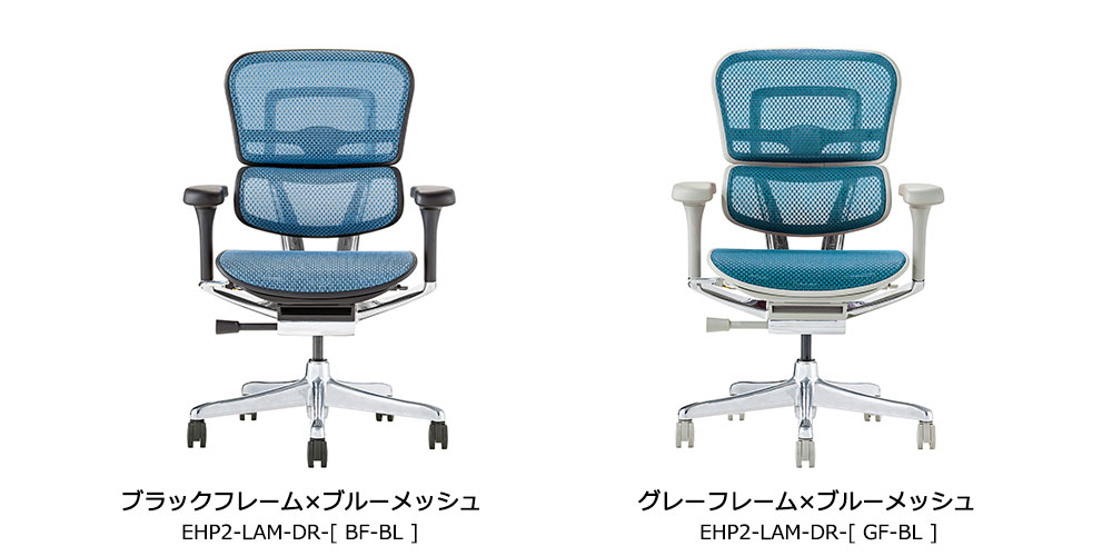 Ergohuman(エルゴヒューマン)「エルゴヒューマンPRO2 Low EHP2-LAM-DR