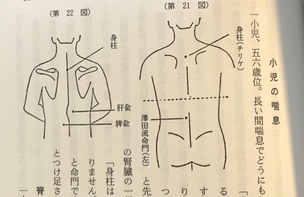 書籍紹介】今なお読み継がれる不朽の名著！「鍼灸真髄」 | 医道の日本