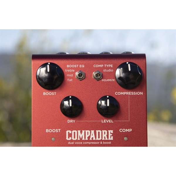 strymon 【WEB限定在庫処分セール】 COMPADRE [dual voice compressor