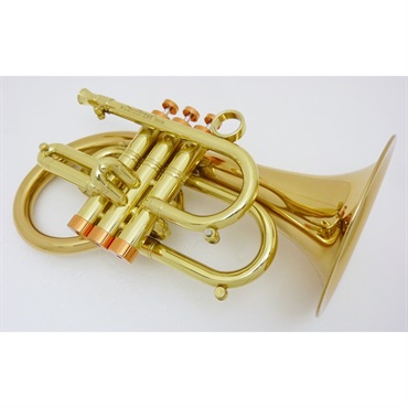 CAROL BRASS キャロルブラス / Taylor Phat Puppy CL 【Bb ポケット