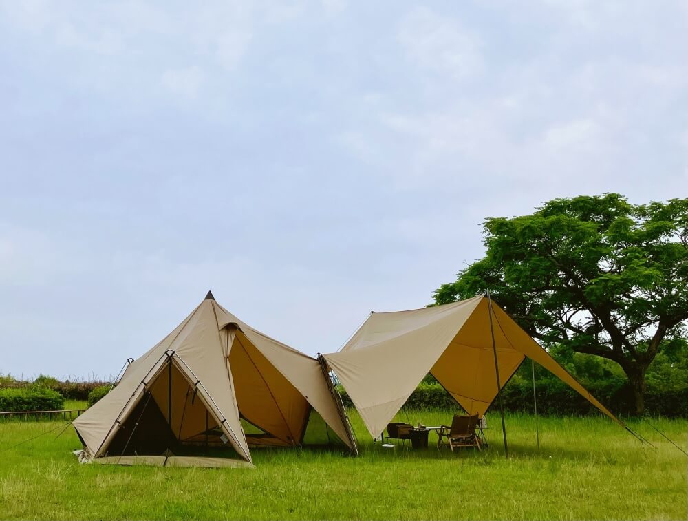 ゼインアーツ・ゲウの2年間使用レビュー！ブログ内の全記事と振り返る