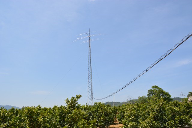秘密基地 アンテナ紹介 玉井農園のホームページ
