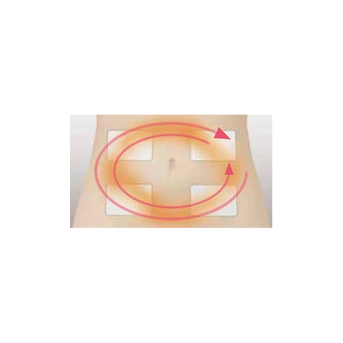 スタイリフト STYLIFT EMS | 伊藤超短波 | 痩身機 | ホームケア機