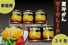 夏みかんマーマレード(ご家庭用) 370g×24缶入り: 正直やまぐち|【JA