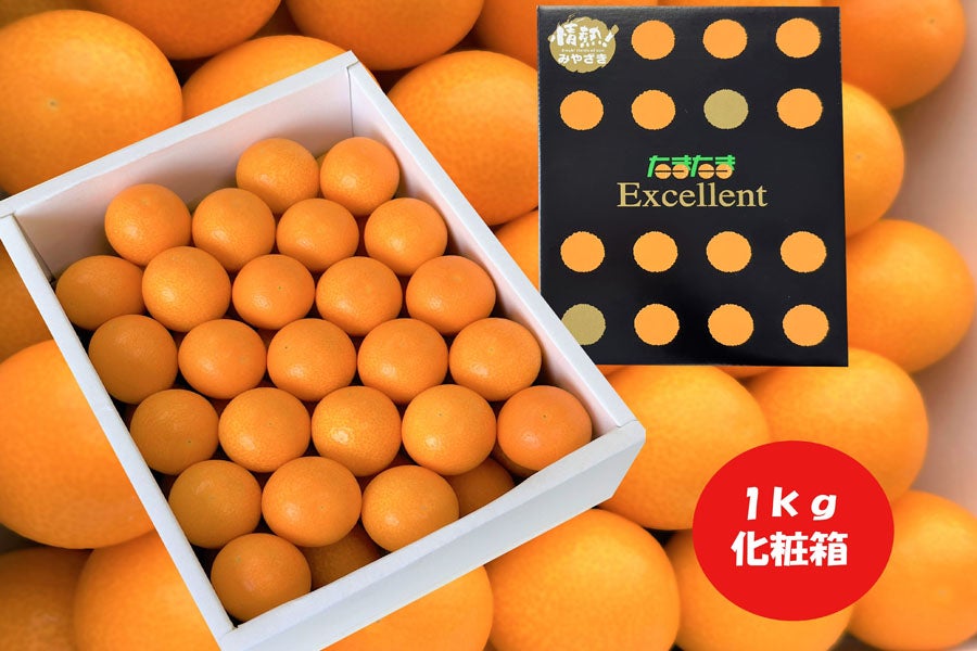 宮崎完熟きんかん【たまたまエクセレント】1kg: JAみやざき Tege