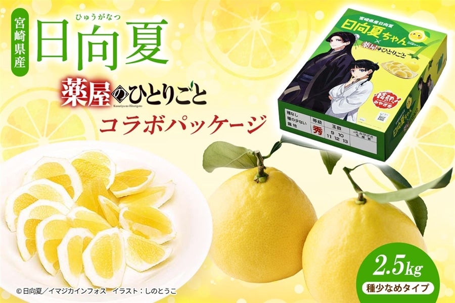宮崎県産 日向夏 小説「薬屋のひとりごと」コラボパッケージ 2.5kg（種