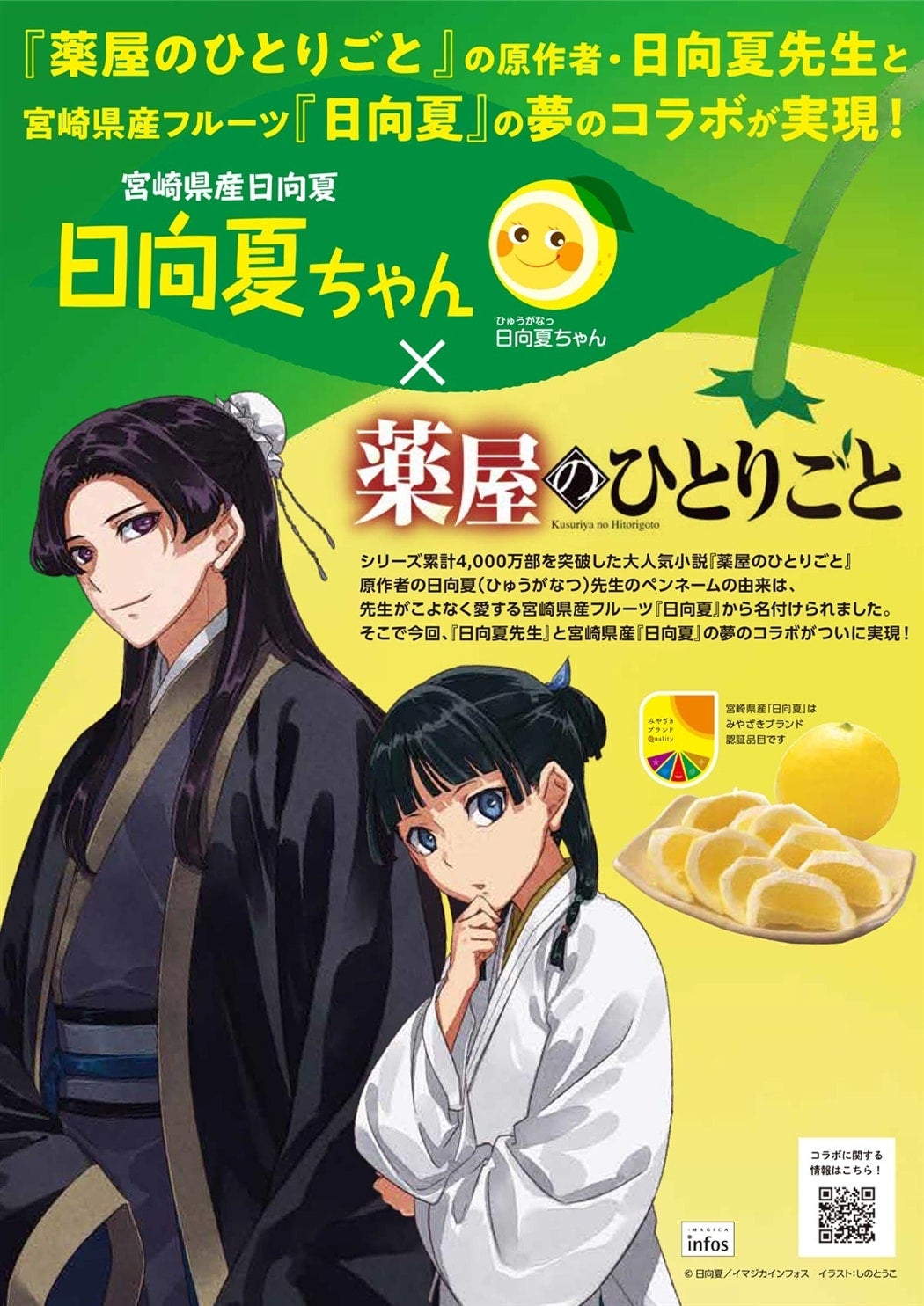 宮崎県産 日向夏 小説「薬屋のひとりごと」コラボパッケージ 2.5kg（種