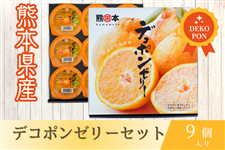 デコポン甘夏缶詰セット(10缶): you+youくまもと 農畜産物市場|【JA