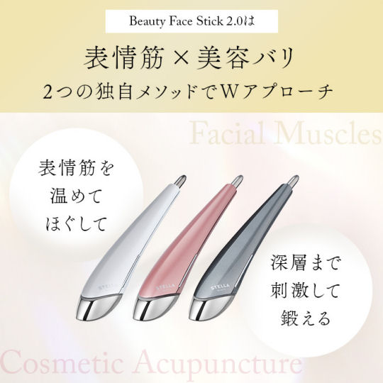Stella Beaute Beauty Face Stick 2.0 | Japan Trend Shop