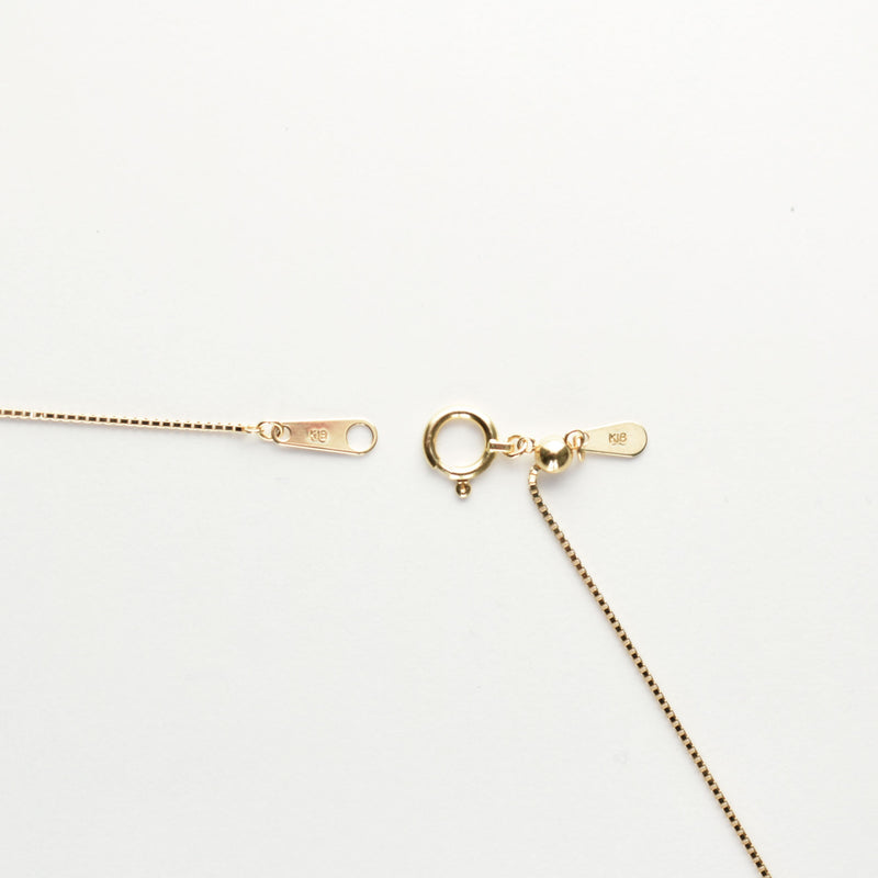 ダイヤモンドプチネックレス K18 1.0ct K18 チェーン (Type-SC