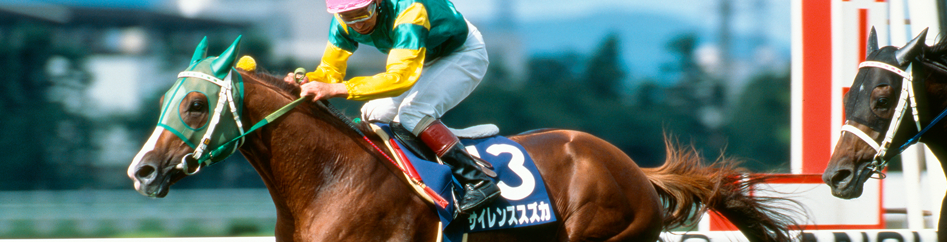 サイレンススズカ｜3分でわかった気になる名馬 JRA