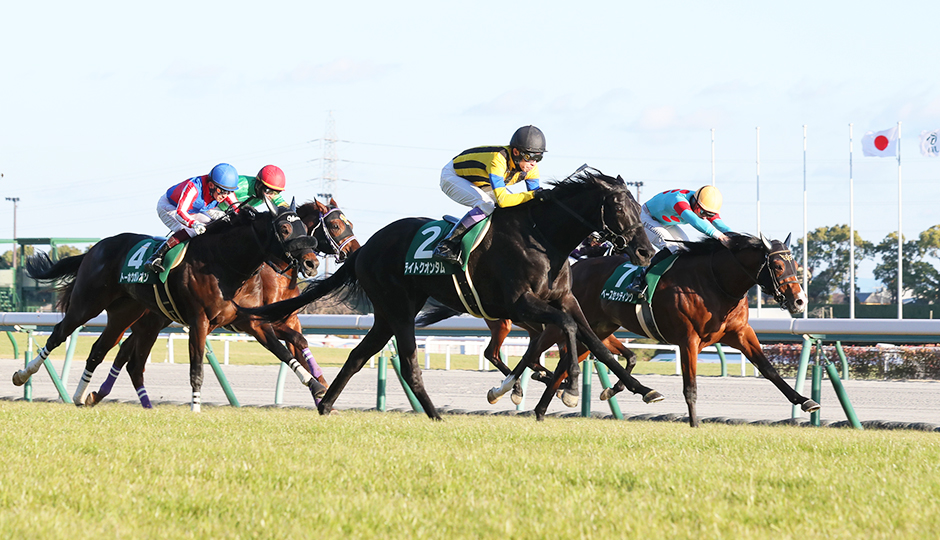 歴史・コース：日刊スポーツ賞シンザン記念 今週の注目レース JRA